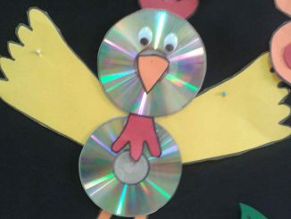cd bird craft idea for kids