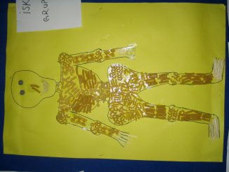 pasta skeleton bulletin board idea