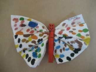 butterfly-craft