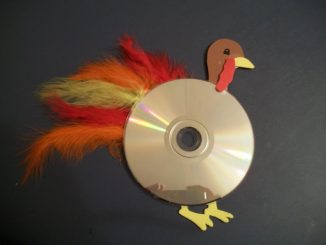 cd-turkey-craft-idea
