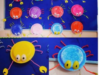 paper plate crab craft idea for preschoolers