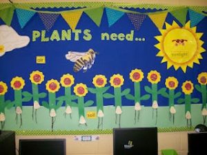 Plants bulletin board – Preschoolplanet