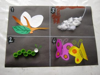 free-life-of-cycle-butterfly-craft-idea