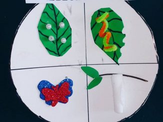 life of cycle butterfly craft ideas (2)