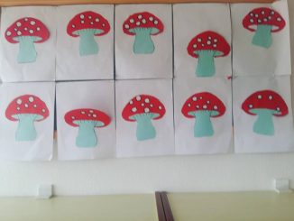 mushroom craft