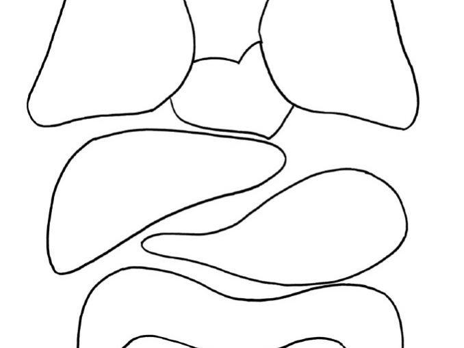 My body Craft idea for kids with templates – Preschoolplanet