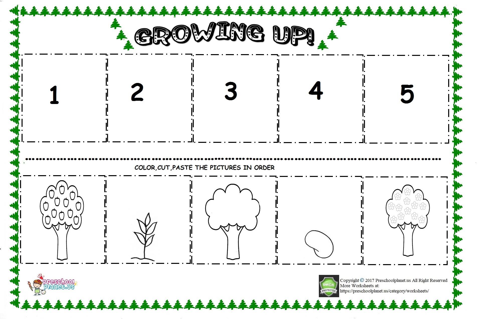 apple tree life cycle sequencing sheets