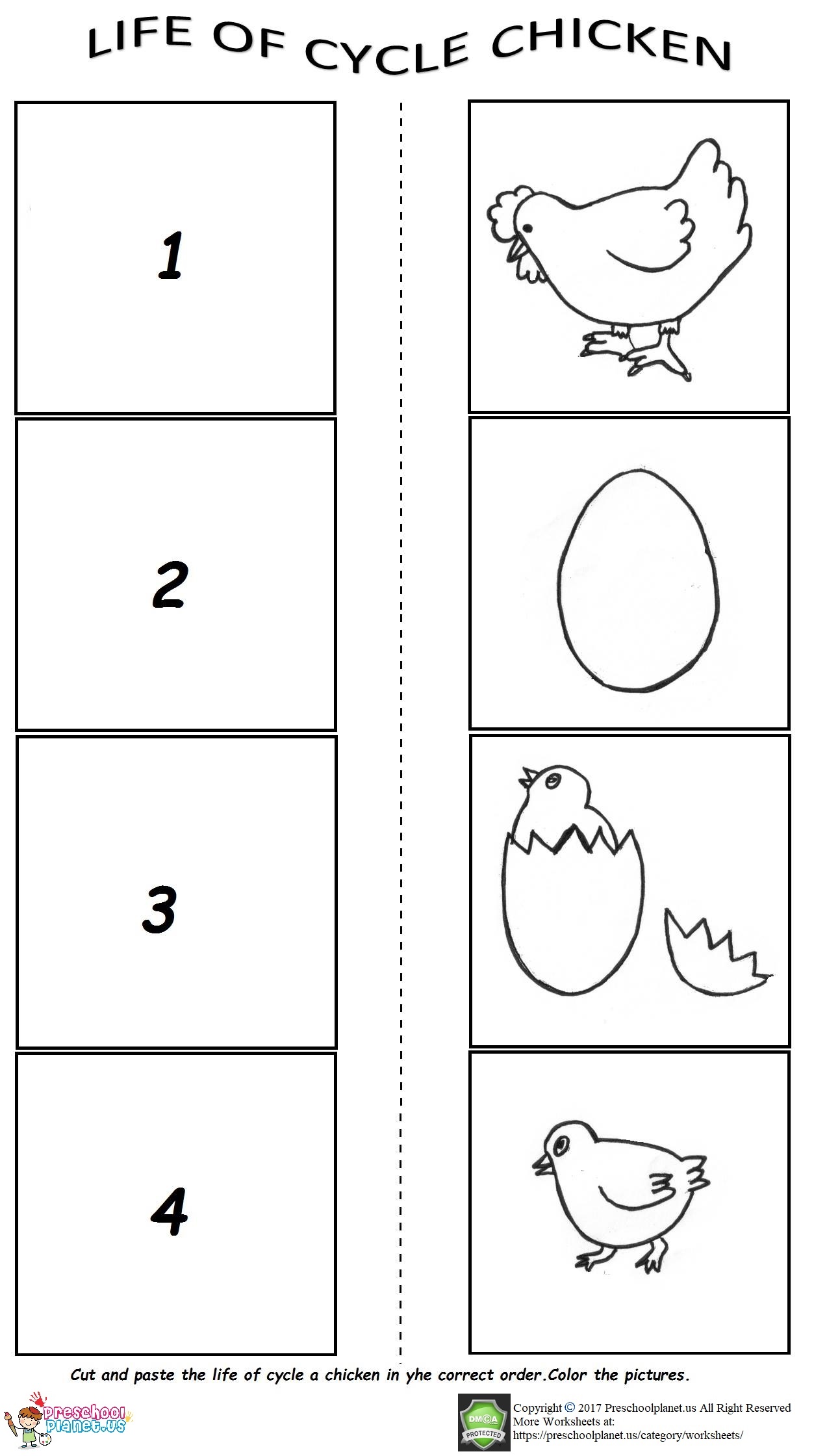 the-life-cycle-of-a-chicken-worksheet-preschoolplanet