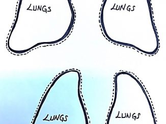 lungs template