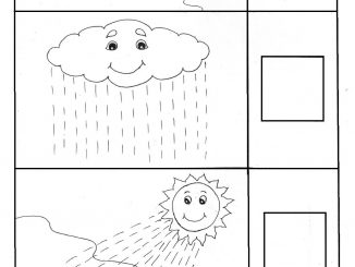 the water cycle worksheet