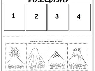 volcano sequencing worksheet for kids