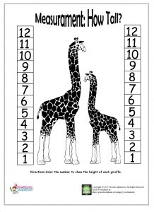 Measurement worksheet for kids