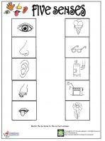 Printable five senses worksheet – Preschoolplanet