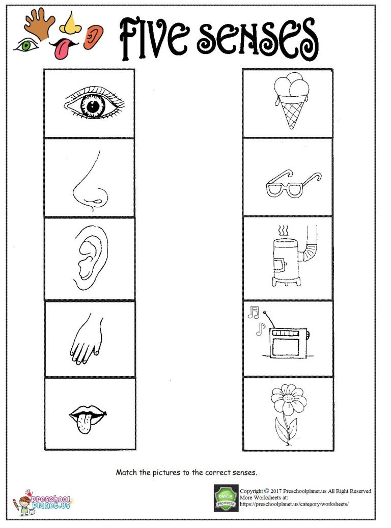 5 Senses Tracing Worksheet Preschool