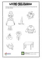 Living creatures worksheet – Preschoolplanet