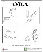 Tall or short worksheet – Preschoolplanet