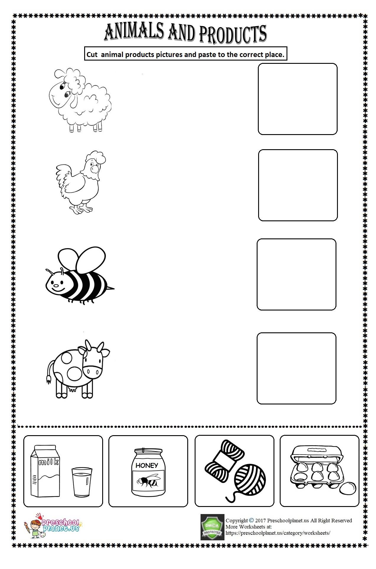 animal products worksheet