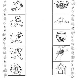 animal worksheet for kids