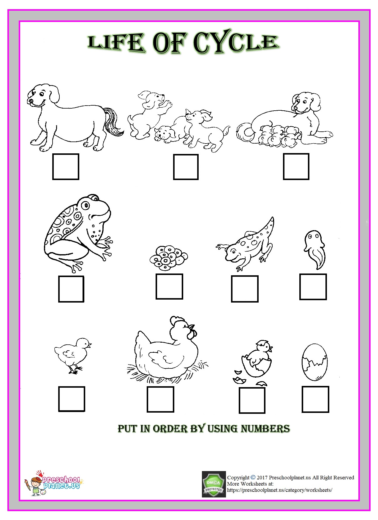 life of cycle animals worksheet