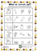 what do animals eat worksheet – Preschoolplanet