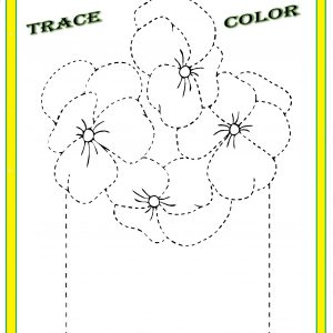flower trace worksheet