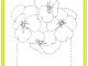 flower trace worksheet