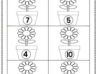 flower count worksheet