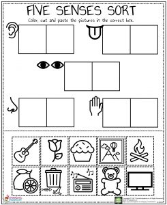 Five Senses Worksheet – Preschoolplanet